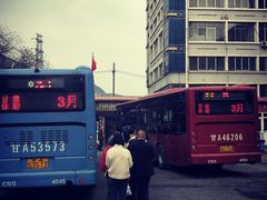 -月星国际家居广场(南滨河中路店)