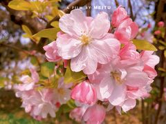 -海棠花溪(元大都城垣遗址公园)