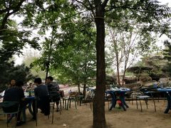 -尚庄度假村·庭台树下·户外烧烤·团建CS·轰趴营地(上庄水库店)