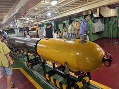 -泰达航母主题公园