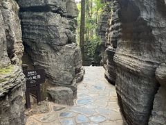 -梭布垭石林景区