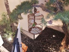 -小厨娘淮扬菜(六合欢乐港店)