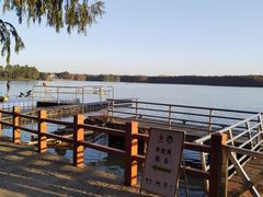 -上海海湾国家森林公园