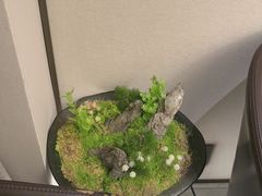 -外滩·云南人家(昆明旗舰店)