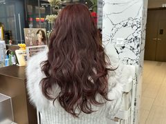 -苏州现代传媒广场商业