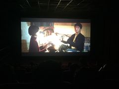 -华美国际影城(旧宫永辉店)