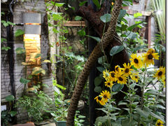 -The Flowers Coffee(南山店)