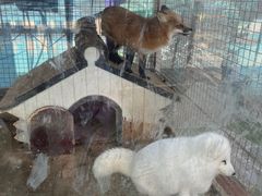 -南宫五洲植物乐园