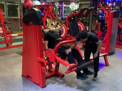 -KingBull私教健身&格斗订制(龙井商业中心店)