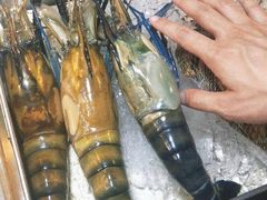 -席娜卡琳火车铁道夜市