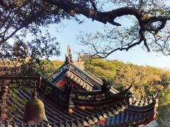 -普陀山慧济禅寺