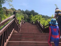 -铁山坪森林公园