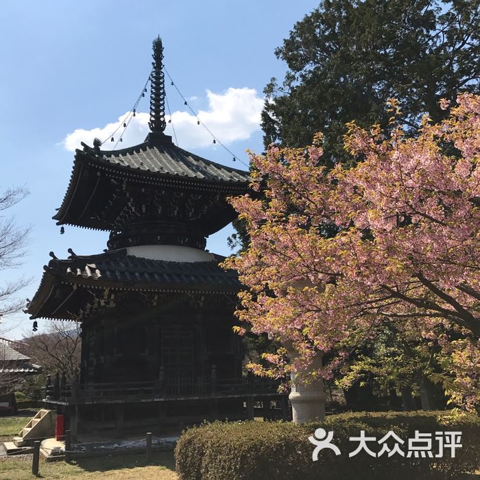 清凉寺图片-北京更多景点玩乐-大众点评网