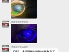 -哆趣宠物医院·眼科·内镜·急重症转诊中心(上海店)
