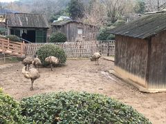 -无锡动物园·太湖欢乐园