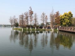 -海珠湖公园