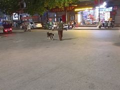 -61号餐吧(兴坪古镇漓江店)