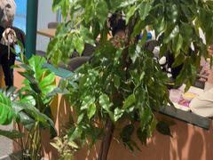 -马兰卡西式简餐(新汇大融城店)