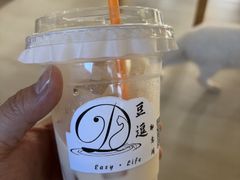 -豆逗聊愈猫阁Easy Life