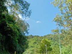 -火炉山森林公园