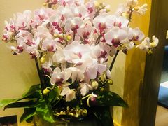 -昇鳗鱼家(浦东店)