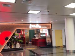 -厦门高崎国际机场-T3航站楼