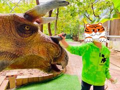 -呀路古热带植物园-恐龙馆