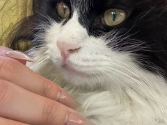-平行世界·猫咖(首经贸店)