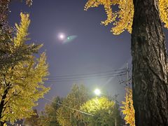 -新世界百货(明洞总店)