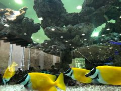 -渔民新村(番禺总店)