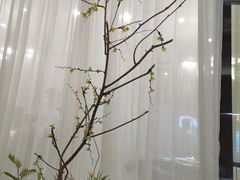 -上地宴·中关村的会客厅(清河高铁站店)