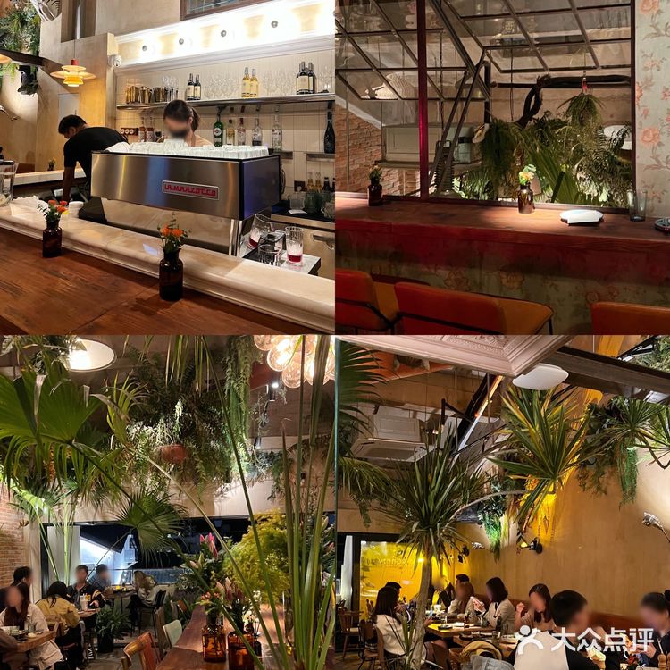苏州探店|氛围感热带雨林版西餐厅🌴贰叁楼