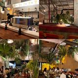 苏州探店｜氛围感热带雨林版西餐厅🌴贰叁楼
