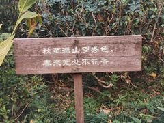 -法云古村