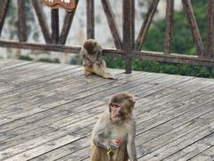 -重庆云阳龙缸景区