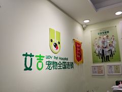 -艾吉宠物医院·疑难杂症转诊中心·猫友好(碧江路院)