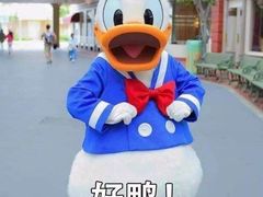 -麦当劳(凌云天地长桥店)