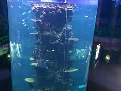 -青岛嘉年华主题乐园