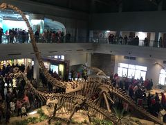 -自贡恐龙博物馆