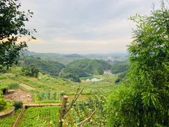 -乌石村