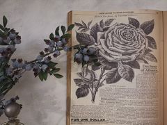 -春风·有糖(崇宁路店)