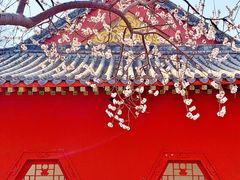-桃花堤公园