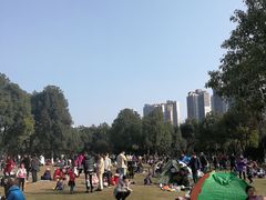 -重庆彩云湖湿地公园