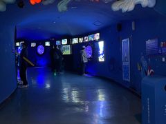 -烟台海昌鲸鲨海洋公园