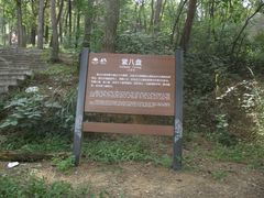 -沂蒙山旅游区云蒙景区(蒙山国家森林公园)