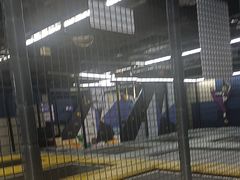 -星际传奇·电玩城·游戏厅·儿童乐园(大悦城店)