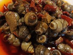 香辣田螺-霸王虾·麻辣小龙虾(清水河公园店)