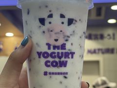 -一只酸奶牛(八一路店)