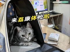 -荔康动物医院(康王北路店)