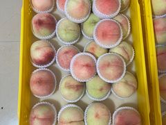 -老袁家蜜桃农场·阳山水蜜桃